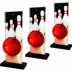 Standaard – bowling acryl Sportprijzen Plaza